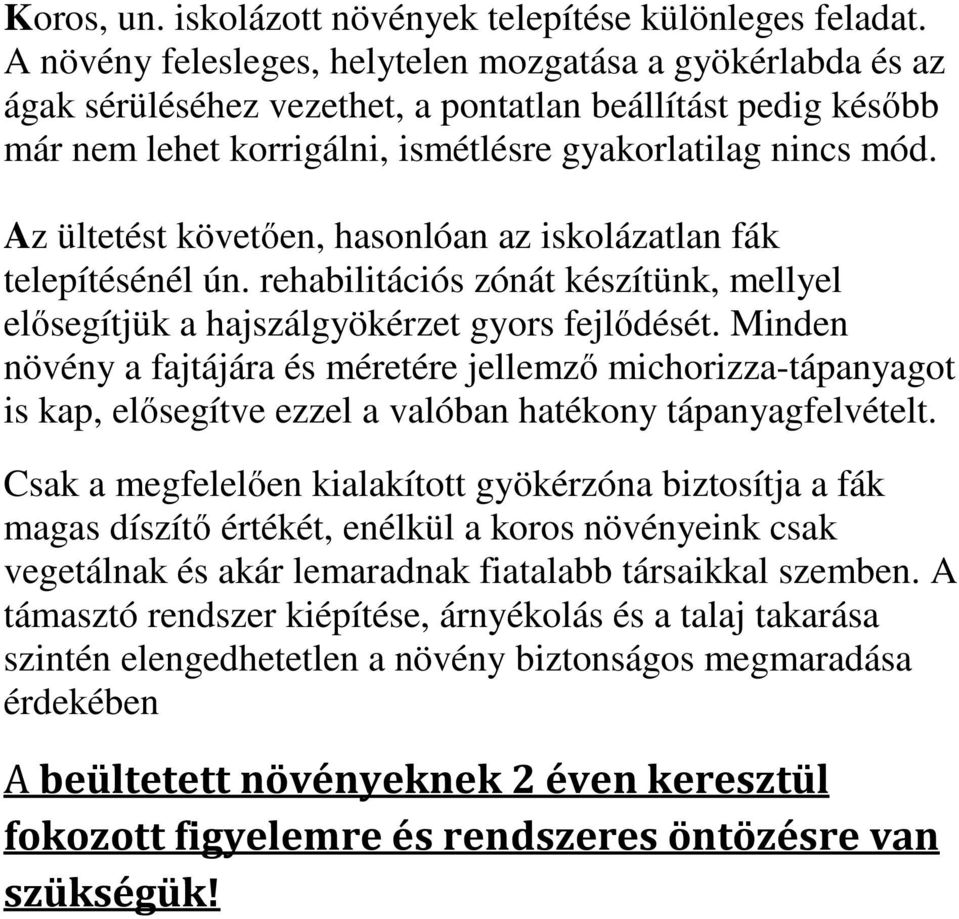 Az ültetést követően, hasonlóan az iskolázatlan fák telepítésénél ún. rehabilitációs zónát készítünk, mellyel elősegítjük a hajszálgyökérzet gyors fejlődését.