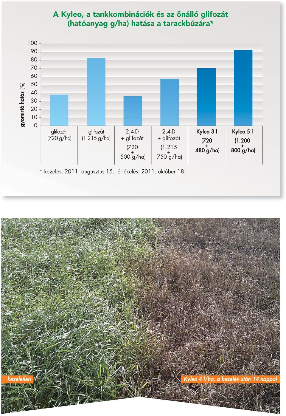 215 g/ha) 2,4-D + (720 + 500 g/ha) 2,4-D + (1.