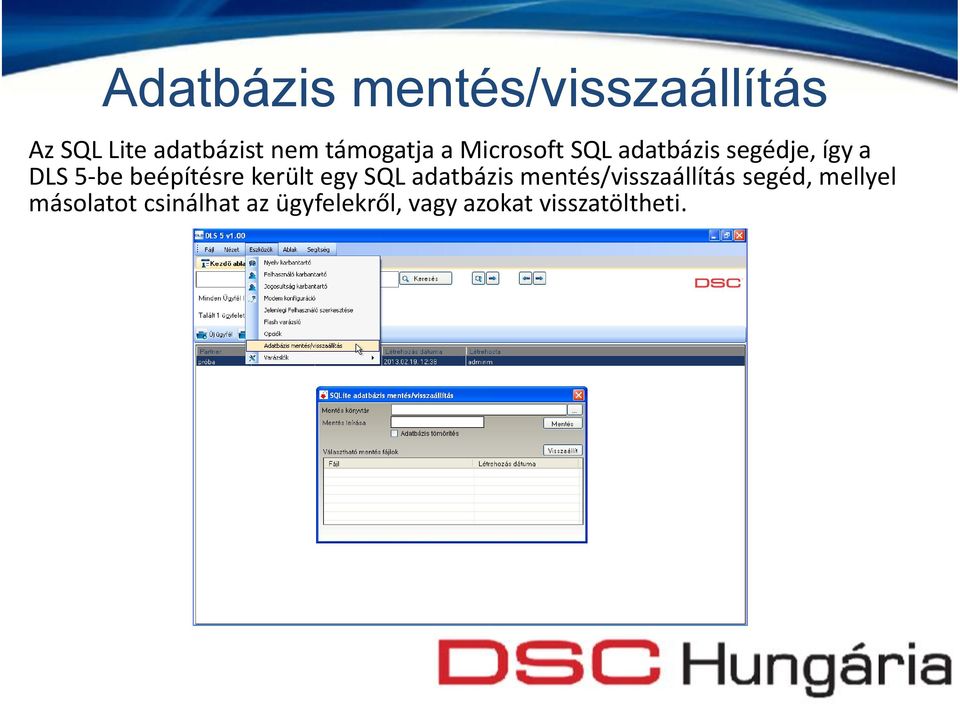 beépítésre került egy SQL adatbázis mentés/visszaállítás segéd,