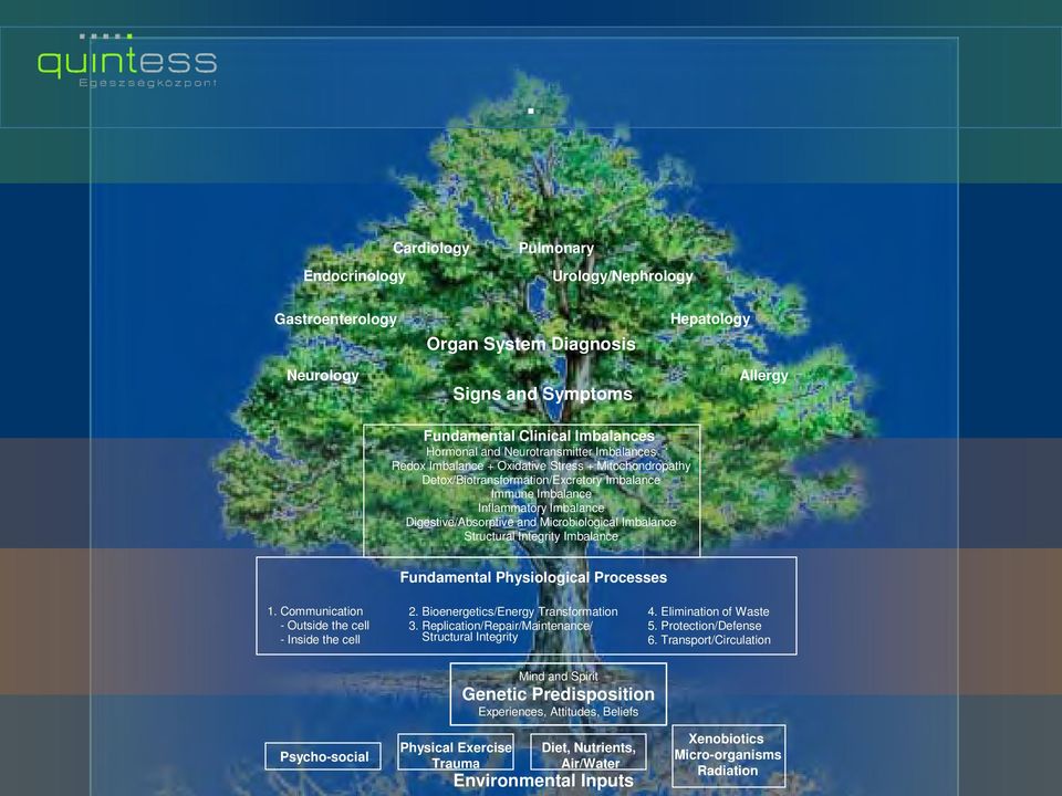 Microbiological Imbalance Structural Integrity Imbalance Fundamental Physiological Processes 1. Communication - Outside the cell - Inside the cell 2. Bioenergetics/Energy Transformation 3.