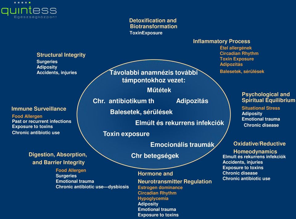 antibiotikum th Balesetek, sérülések Toxin exposure Hormone and Neurotransmitter Regulation Estrogen dominance Circadian Rhythm Hypoglycemia Emotional trauma Adipozitás Inflammatory Process Elmúlt és