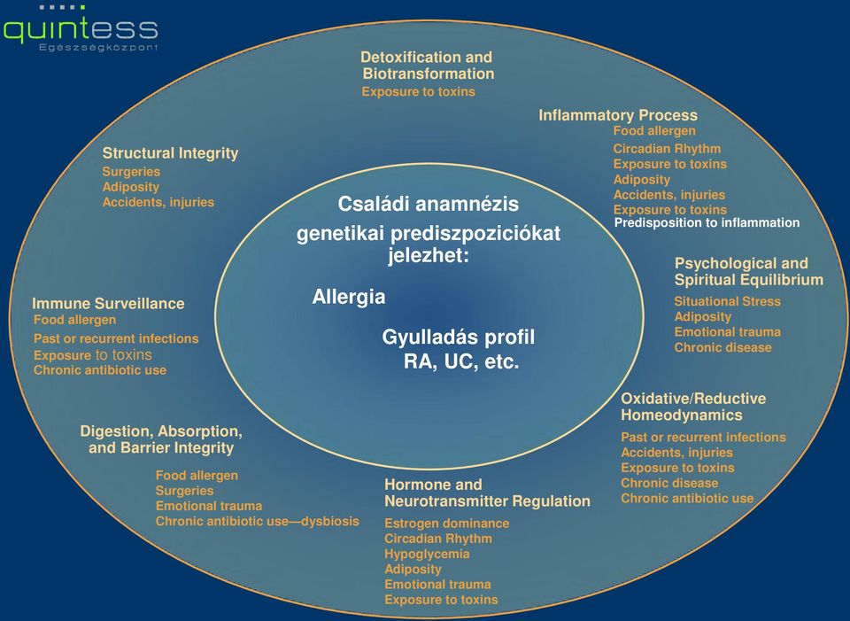 Inflammatory Process Food allergen Circadian Rhythm Accidents, injuries Predisposition to inflammation Psychological and Spiritual Equilibrium Situational Stress Emotional trauma Chronic disease