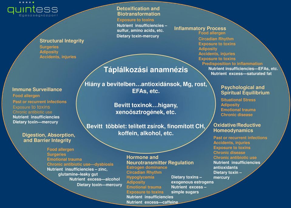 Nutrient excess saturated fat Immune Surveillance Food allergen Past or recurrent infections Chronic antibiotic use Nutrient insufficiencies Dietary toxin mercury Digestion, Absorption, and Barrier