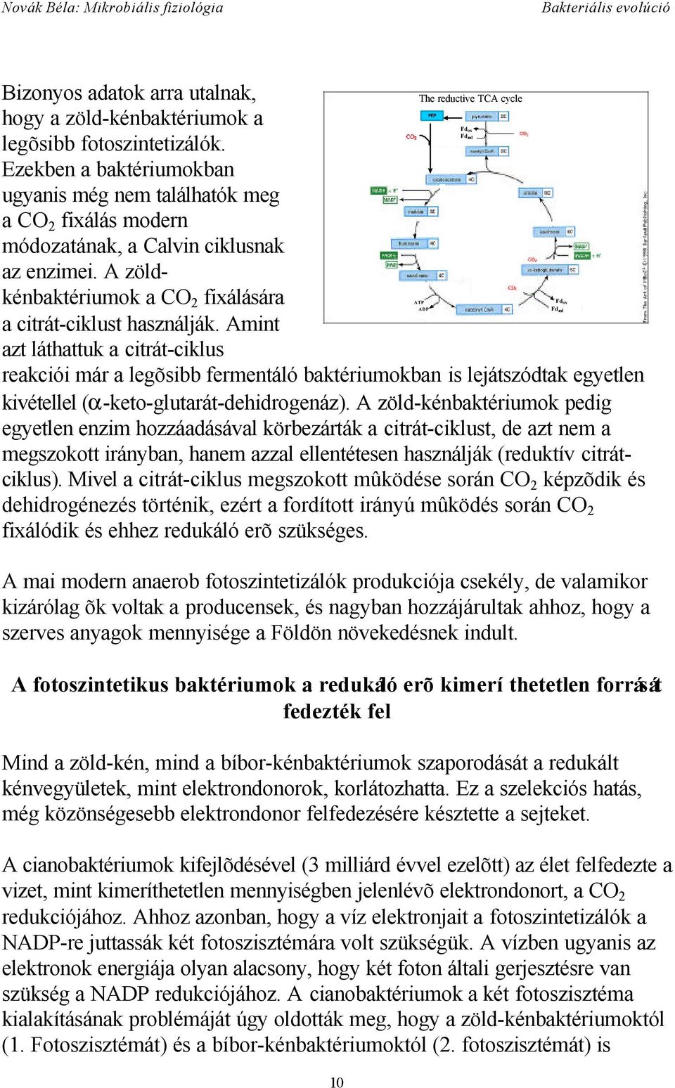 A zöldkénbaktériumok a CO 2 fixálására ATP Fd ox ADP Fd red a citrát-ciklust használják.