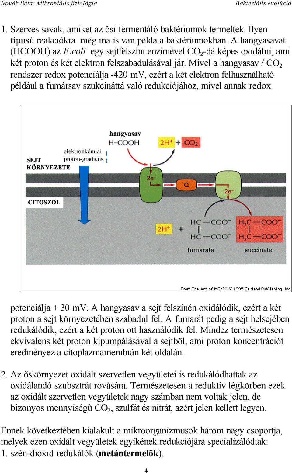 Mivel a hangyasav / CO 2 rendszer redox potenciálja -420 mv, ezért a két elektron felhasználható például a fumársav szukcináttá való redukciójához, mivel annak redox hangyasav elektronkémiai SEJT