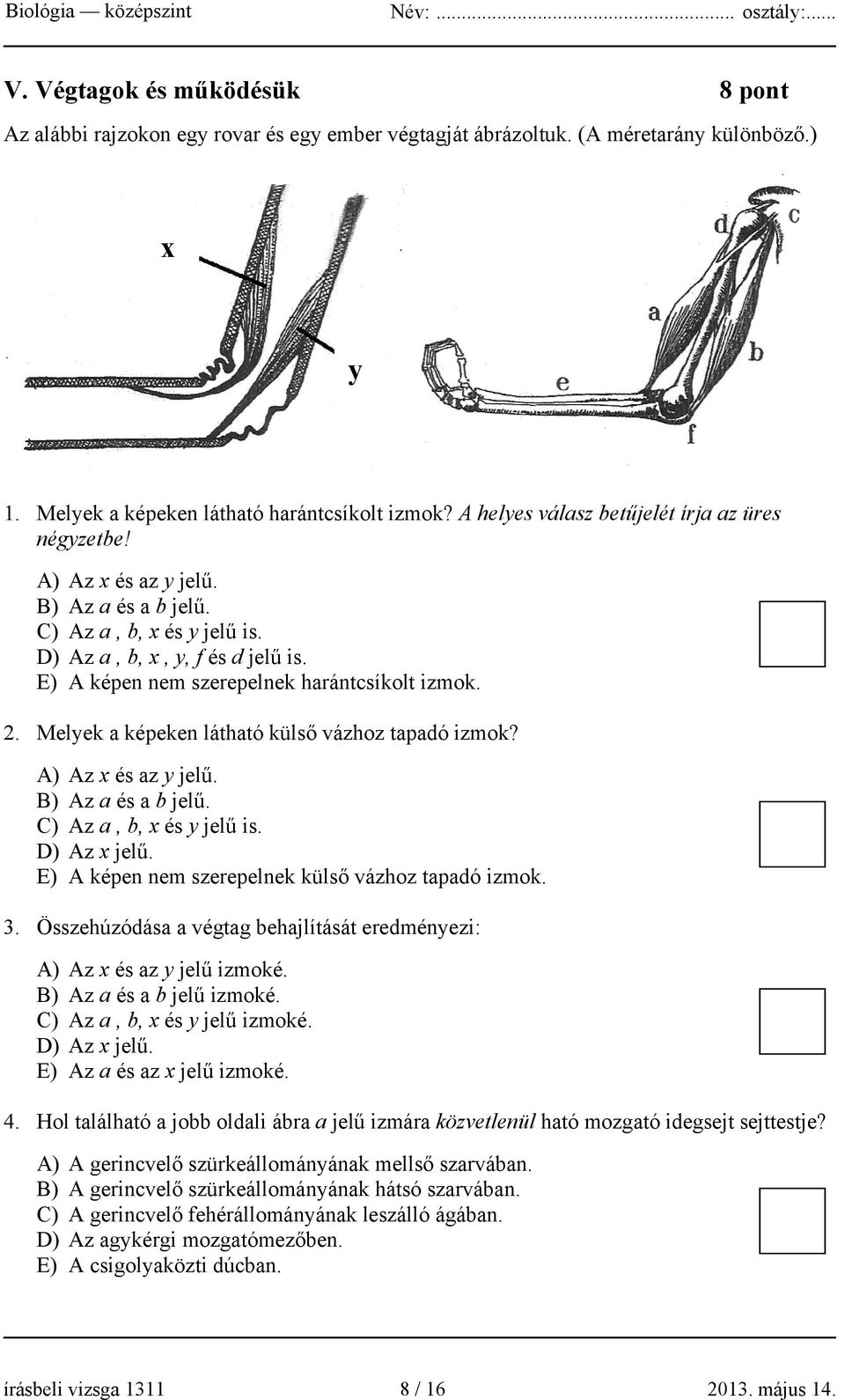 E) A képen nem szerepelnek harántcsíkolt izmok. 2. Melyek a képeken látható külső vázhoz tapadó izmok? A) Az x és az y jelű. B) Az a és a b jelű. C) Az a, b, x és y jelű is. D) Az x jelű.