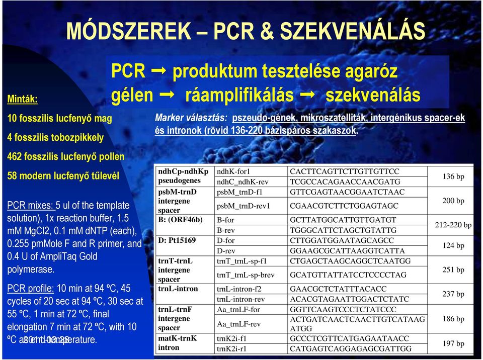 ? C 11A+6G C A C G T C G T C A T C 1551 Gtk24?? C 10A+6G A A C G T C G T A A T T 1550 KR8-2?? C 13A+5G A A C G T C G T C A T C 1552 P9?? C 12A+5G C A C G T C G T C A T C 1551 St15?