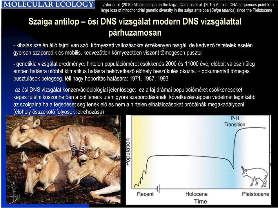 vizsgálattal párhuzamosan - kihalás szélén álló fajról van szó, környezeti változásokra érzékenyen reagál, de kedvezı feltételek esetén gyorsan szaporodik és mobilis, kedvezıtlen környezetben viszont