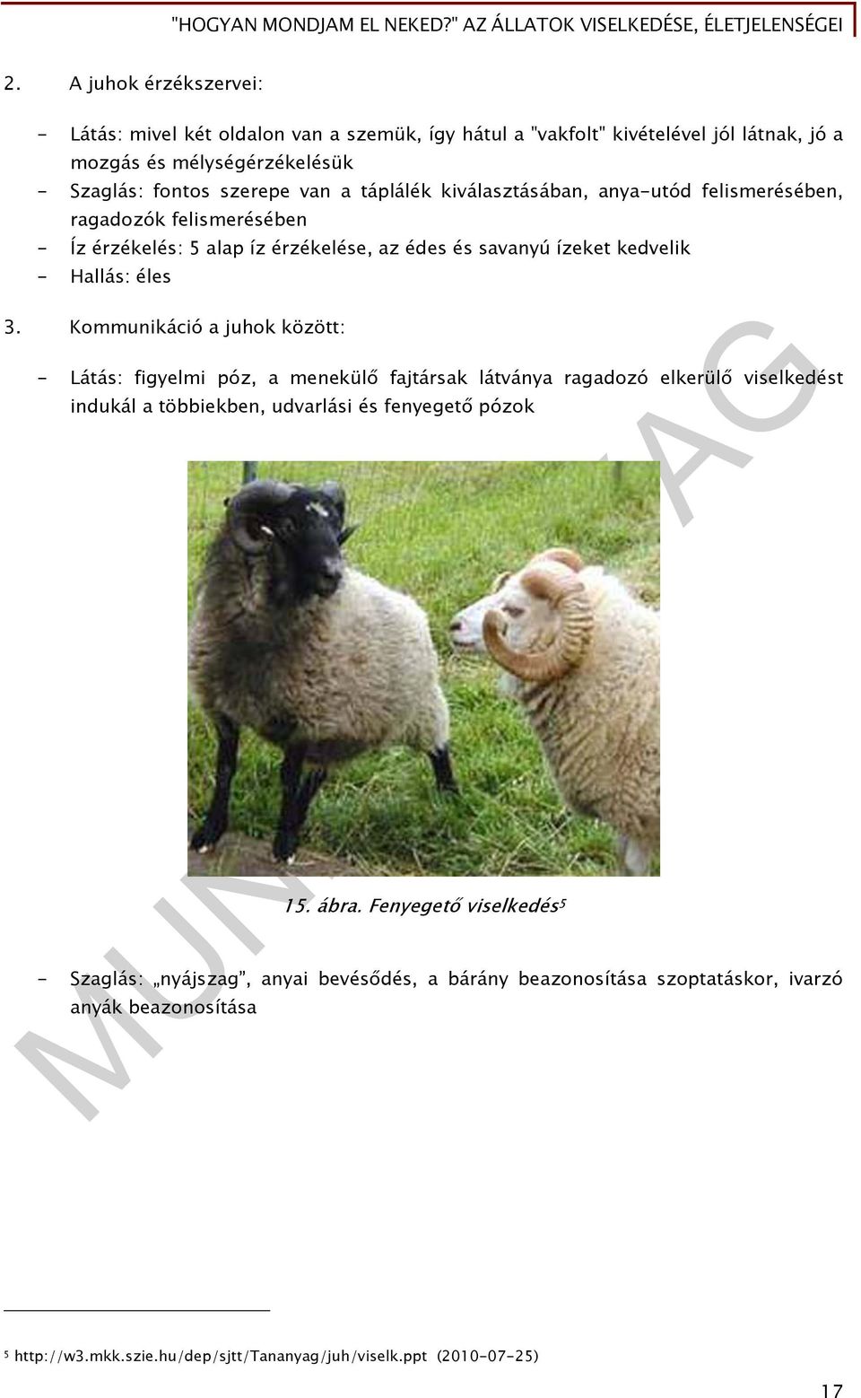 Kommunikáció a juhok között: - Látás: figyelmi póz, a menekülő fajtársak látványa ragadozó elkerülő viselkedést indukál a többiekben, udvarlási és fenyegető pózok 15. ábra.
