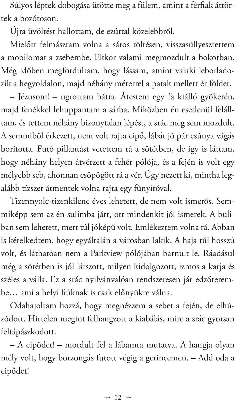 Még időben megfordultam, hogy lássam, amint valaki lebotladozik a hegyoldalon, majd néhány méterrel a patak mellett ér földet. Jézusom! ugrottam hátra.