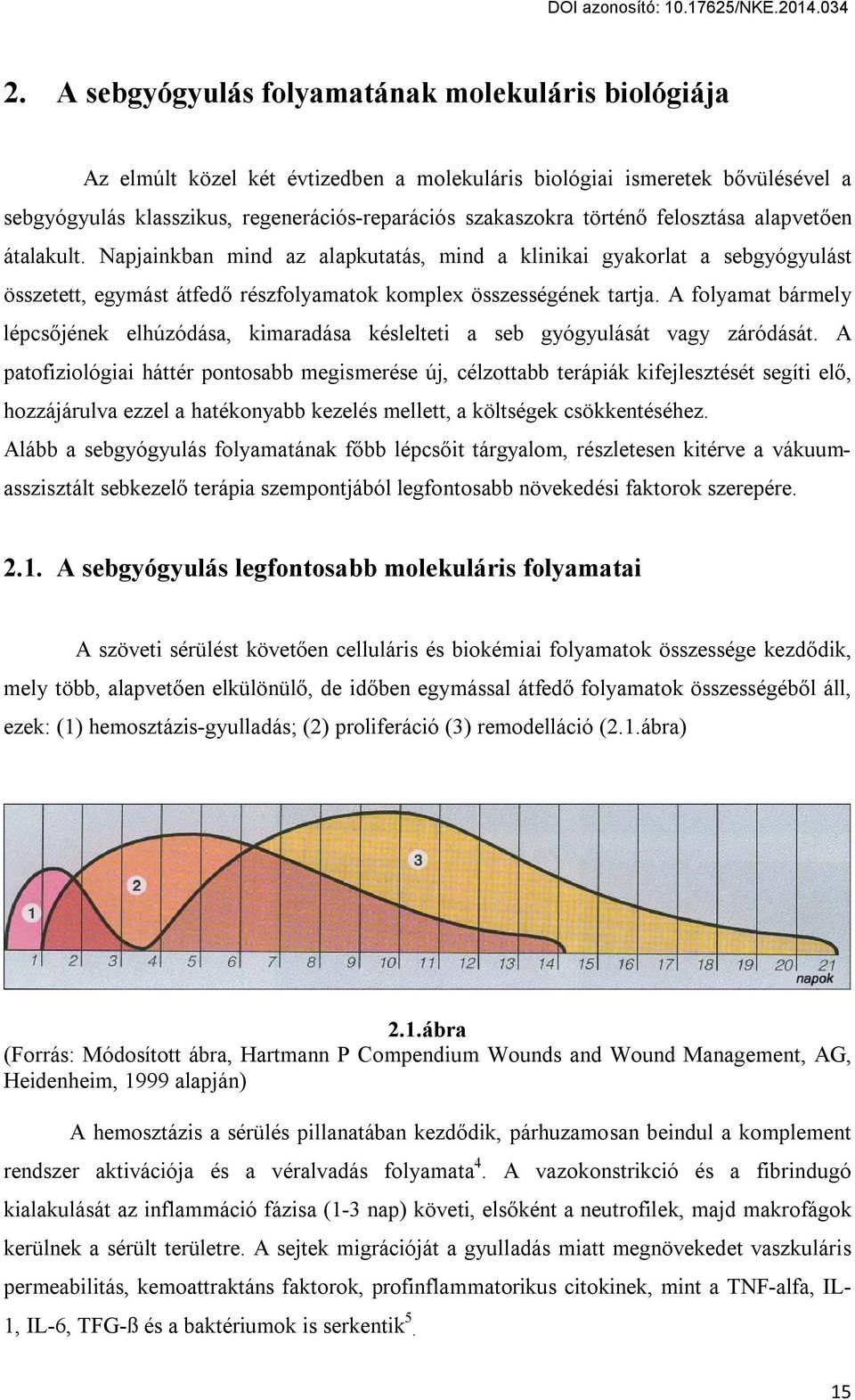 A folyamat bármely lépcsőjének elhúzódása, kimaradása késlelteti a seb gyógyulását vagy záródását.