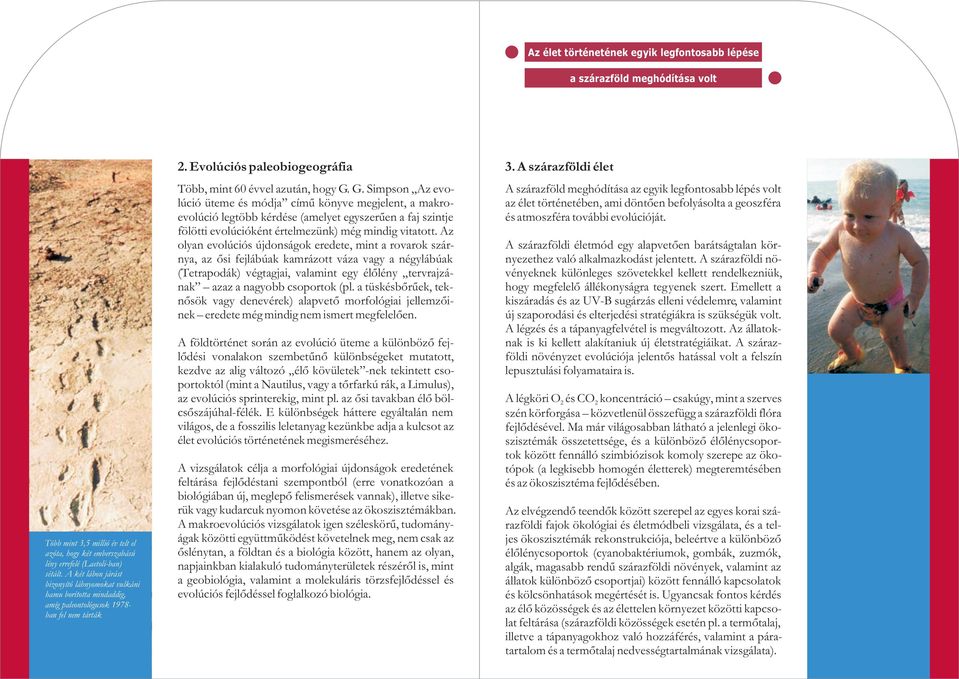 G. Simpson Az evolúció üteme és módja címû könyve megjelent, a makroevolúció legtöbb kérdése (amelyet egyszerûen a faj szintje fölötti evolúcióként értelmezünk) még mindig vitatott.