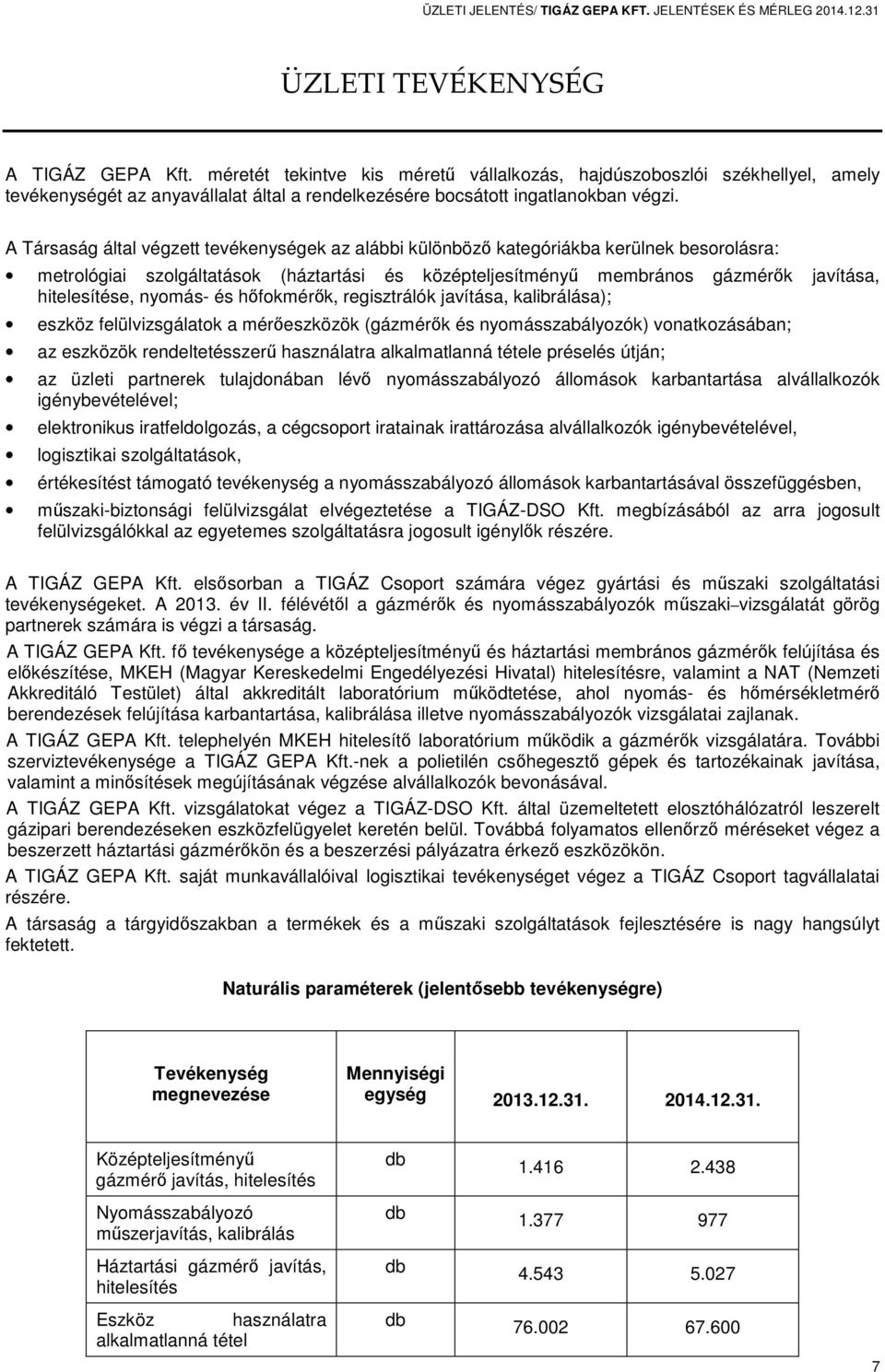 A Társaság által végzett tevékenységek az alábbi különböző kategóriákba kerülnek besorolásra: metrológiai szolgáltatások (háztartási és középteljesítményű membrános gázmérők javítása, hitelesítése,