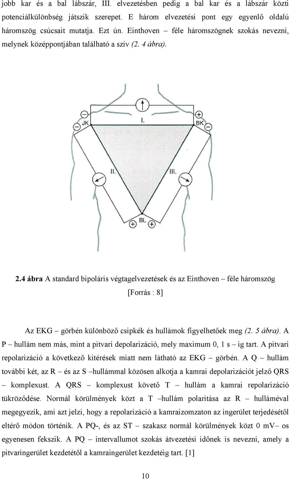 4 ábra A standard bipoláris végtagelvezetések és az Einthoven féle háromszög [Forrás : 8] Az EKG görbén különböző csipkék és hullámok figyelhetőek meg (2. 5 ábra).