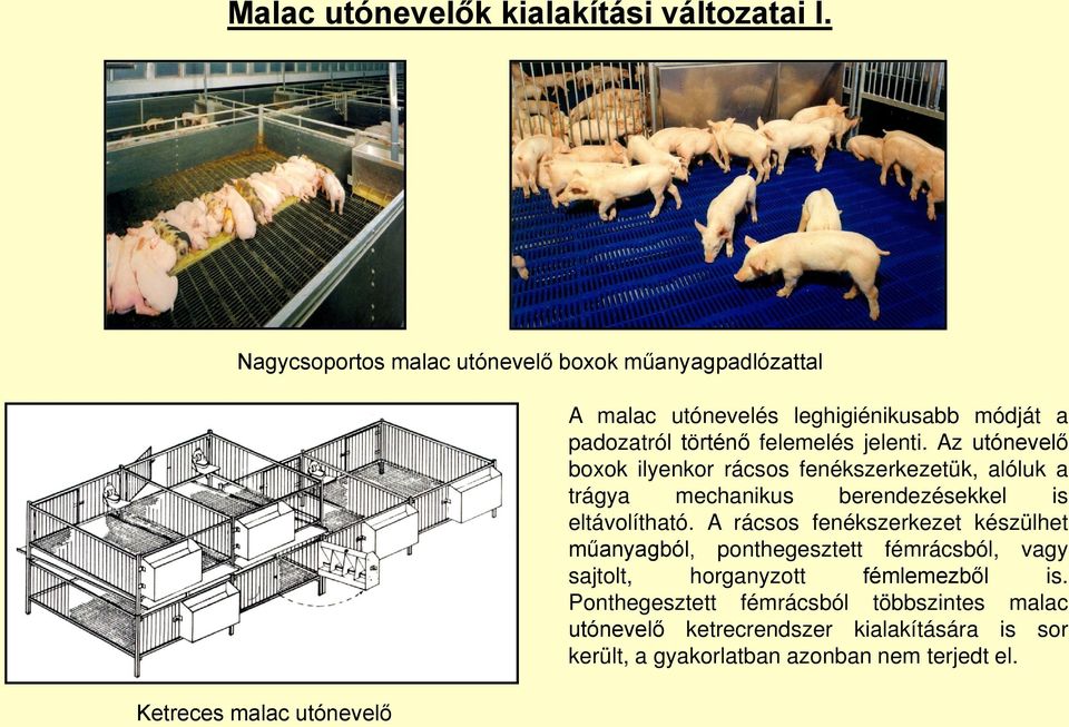 történő felemelés jelenti. Az utónevelő boxok ilyenkor rácsos fenékszerkezetük, alóluk a trágya mechanikus berendezésekkel is eltávolítható.