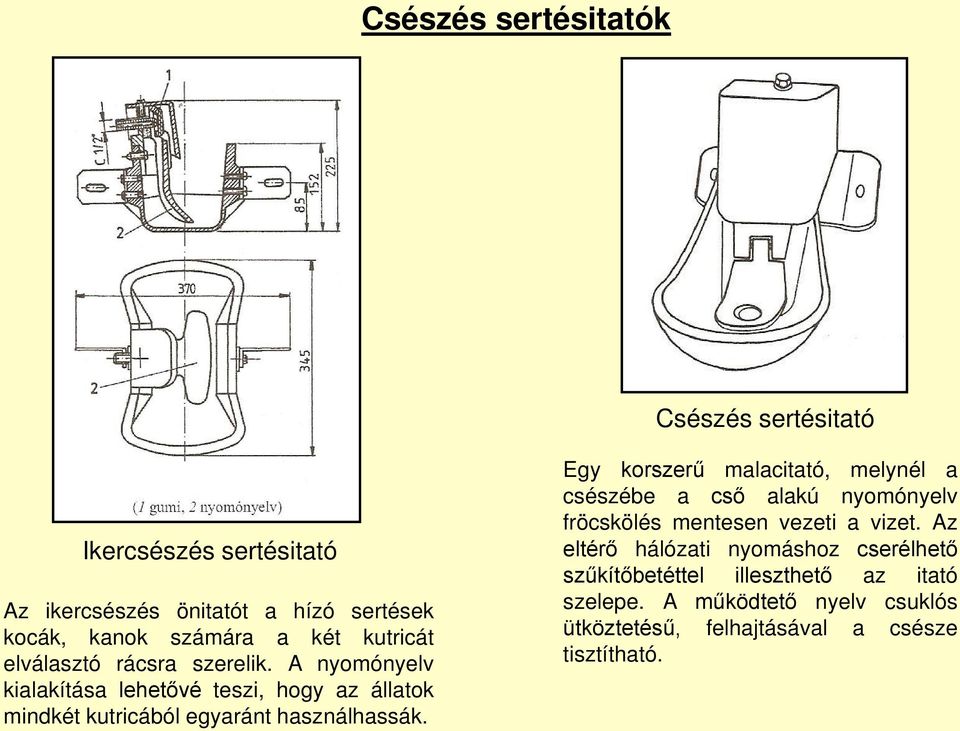 A nyomónyelv kialakítása lehetővé teszi, hogy az állatok mindkét kutricából egyaránt használhassák.