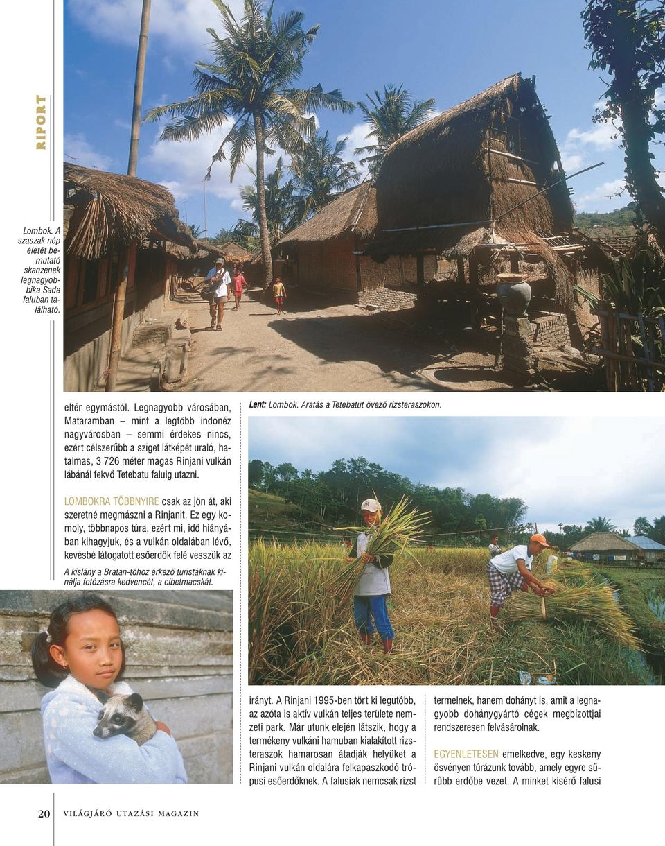 faluig utazni. Lent: Lombok. Aratás a Tetebatut övezõ rizsteraszokon. LOMBOKRA TÖBBNYIRE csak az jön át, aki szeretné megmászni a Rinjanit.