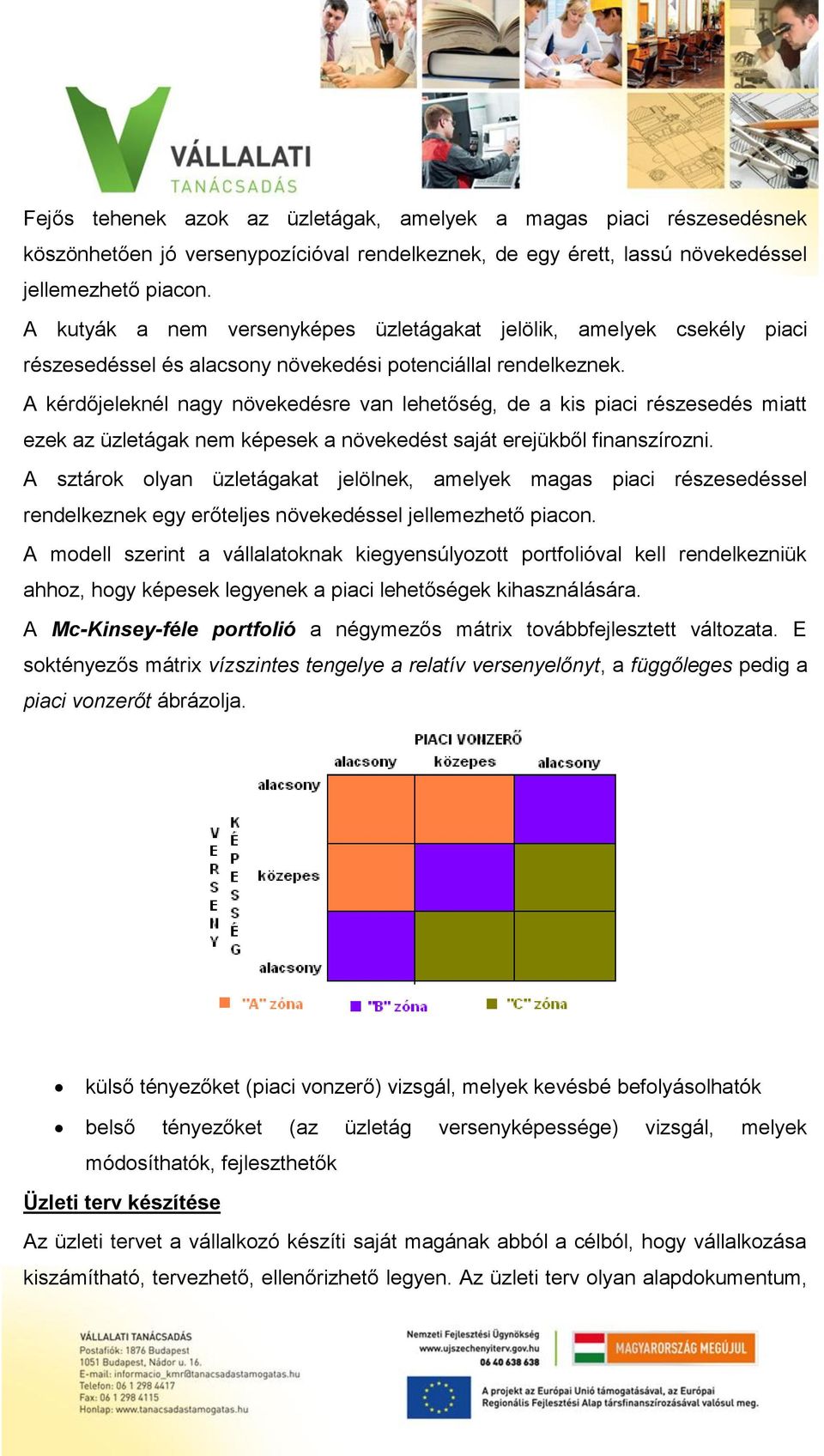 A kérdőjeleknél nagy növekedésre van lehetőség, de a kis piaci részesedés miatt ezek az üzletágak nem képesek a növekedést saját erejükből finanszírozni.