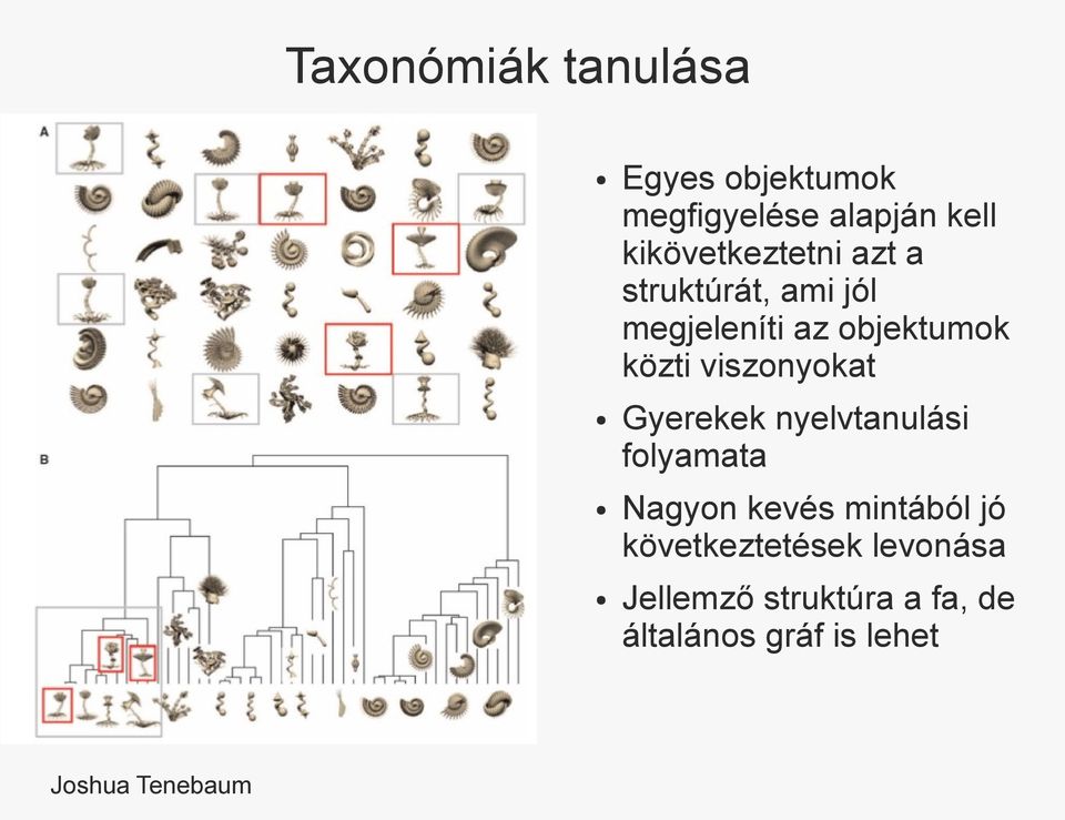 közti viszonyokat Gyerekek nyelvtanulási folyamata Nagyon kevés mintából