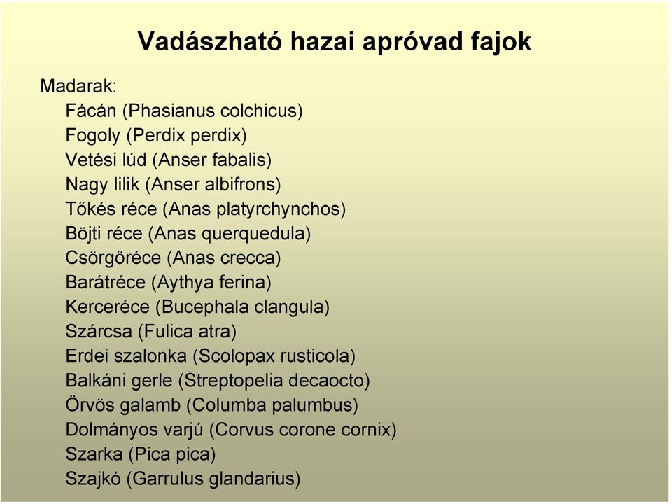 (Aythya ferina) Kerceréce (Bucephala clangula) Szárcsa (Fulica atra) Erdei szalonka (Scolopax rusticola) Balkáni gerle