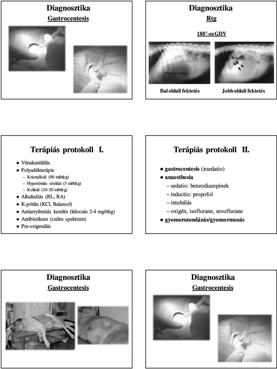 (KCl, Balansol) Antiarrythmiás kezelés (lidocain 2-4 mg/ttkg) Antibiotikum (széles spektrum) Pre-oxigenálás Terápiás protokoll II.