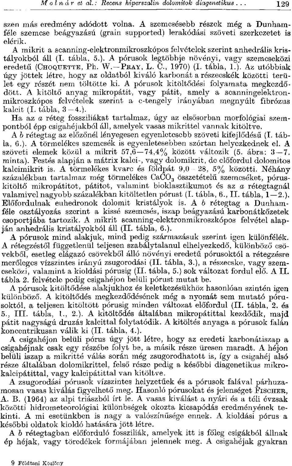 A mikrit a scanning-elektronmikroszkópos felvételek szerint anhedrális kristályokból áll (I. tábla, 5.). A pórusok legtöbbje növényi, vagy szemcseközi eredetű (CHOQUETTE, Ph. W. PEAY, L. C, 1970) (I.