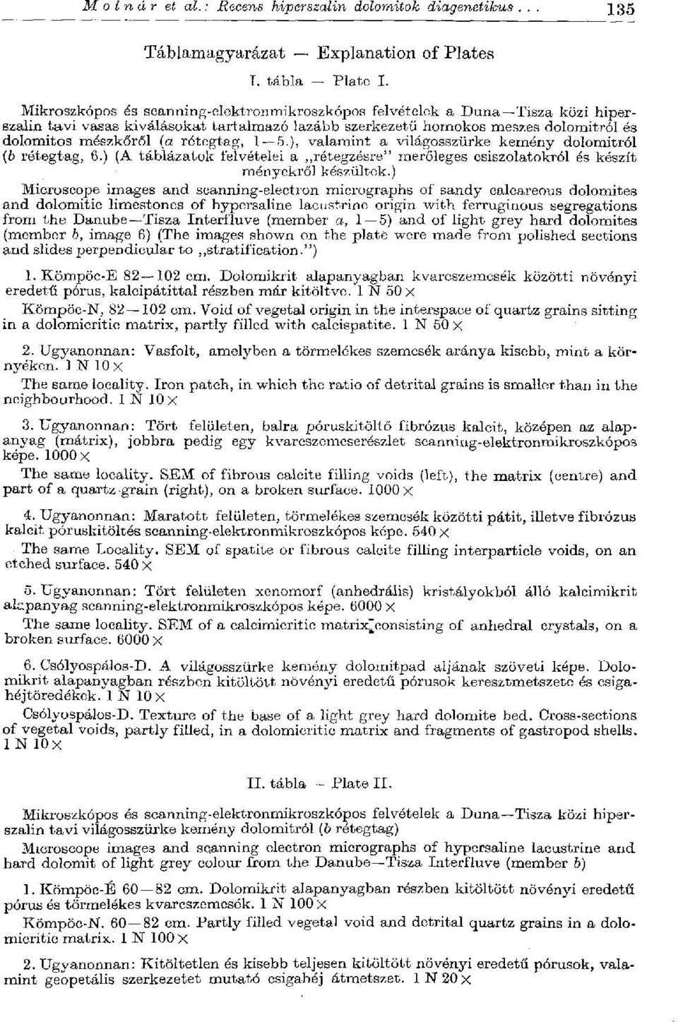 rétegtag, 1 5.), valamint a világosszürke kemény dolomitról (6 rétegtag, 6.) (A táblázatok felvételei a rétegzésre" merőleges csiszolatokról és készít menyekről készültek.