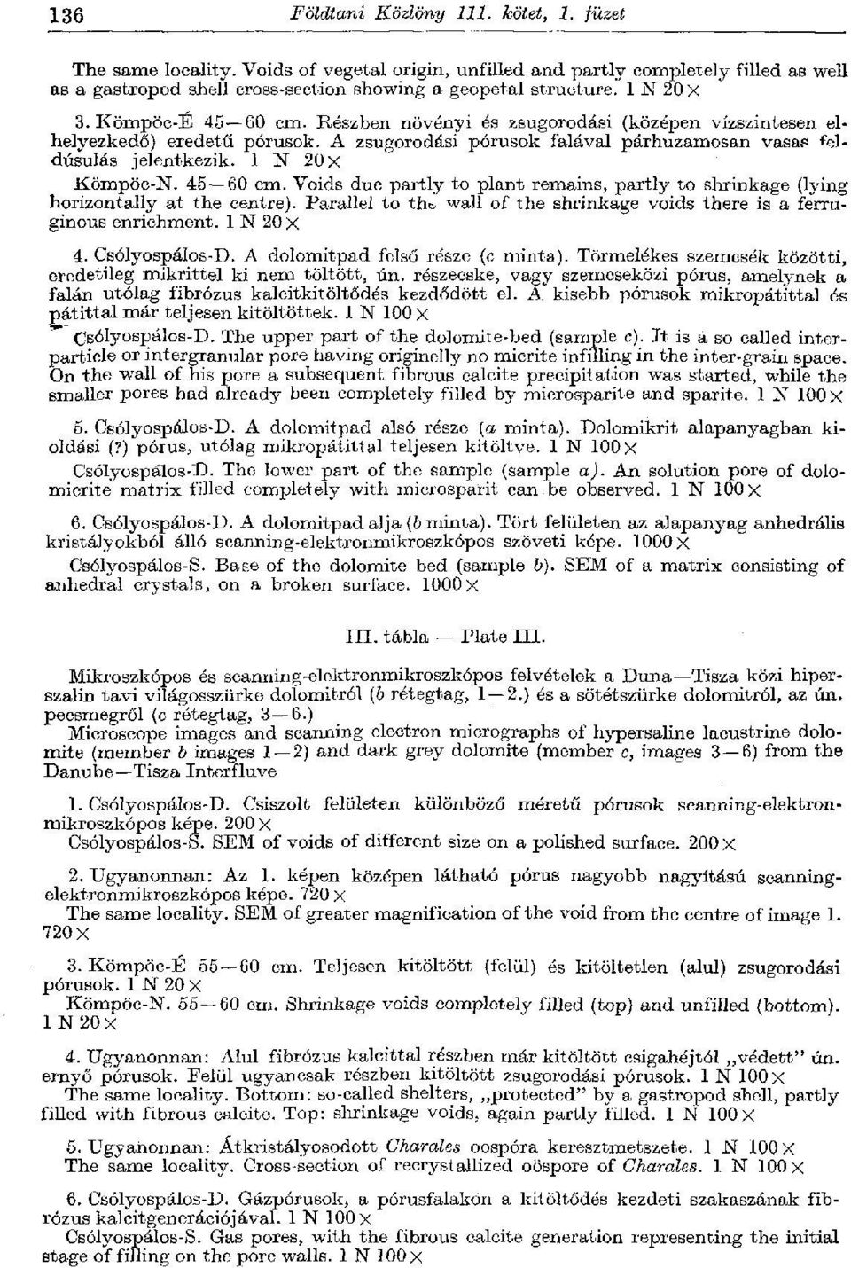 1 N 20 X Kömpöc-N. 45 60 cm. Voids due partly to plant remains, partly to shrinkage (lying horizontally at the centre). Parallel to th& wall of the shrinkage voids there is a ferruginous enrichment.