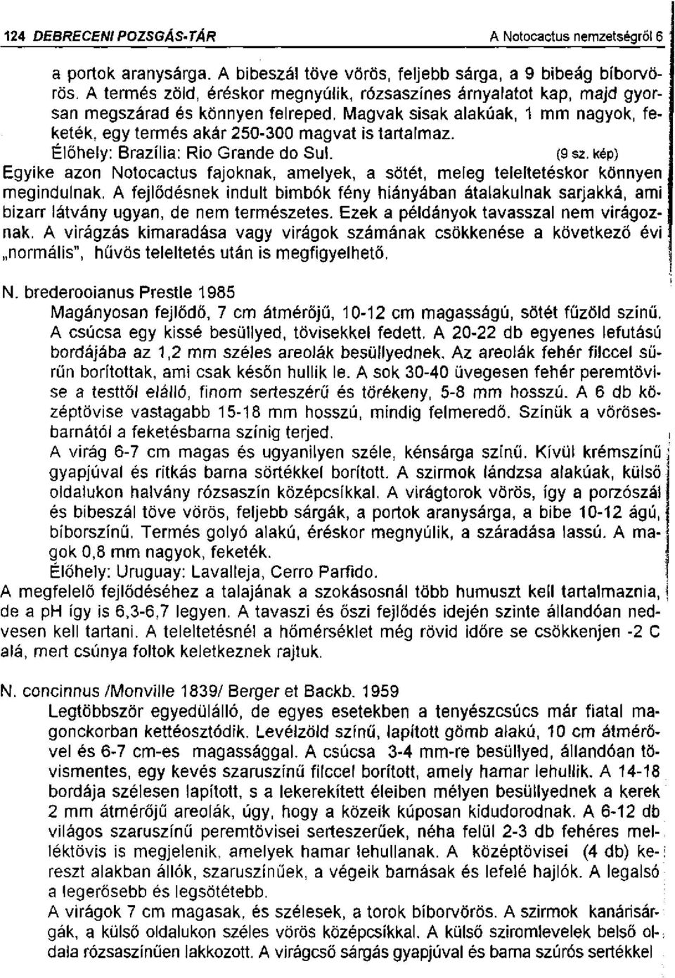 Élőhely: Brazília: Rio Grandé do Sul. (9 sz. kép) Egyike azon Notocactus fajoknak, amelyek, a sötét, meleg teleltetéskor könnyen megindulnak.