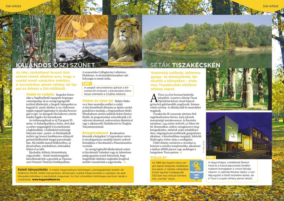 Vadak és vadulás Szegeden biztos siker a Napfényfürdő Aquapolis fergeteges csúszdaparkja, de az ország legnagyobb területű állatkertjét, a Szegedi Vadasparkot se hagyjuk ki, amely október 31-én,