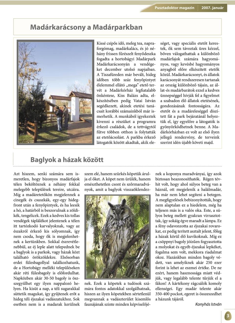 A Tiszafüreden már bevált, hideg időben több száz fenyőpintyet élelemmel ellátó mega etető tervét a Madárkórház legfiatalabb önkéntese, Kiss Balázs adta, elkészítésében pedig Vatai István
