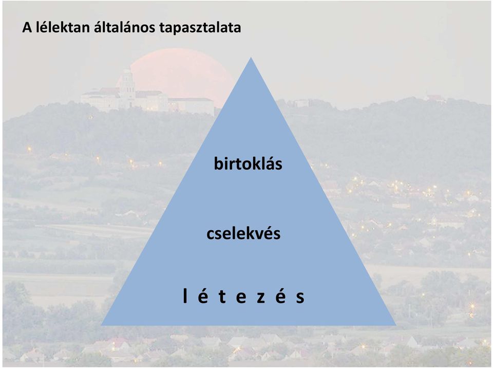 tapasztalata