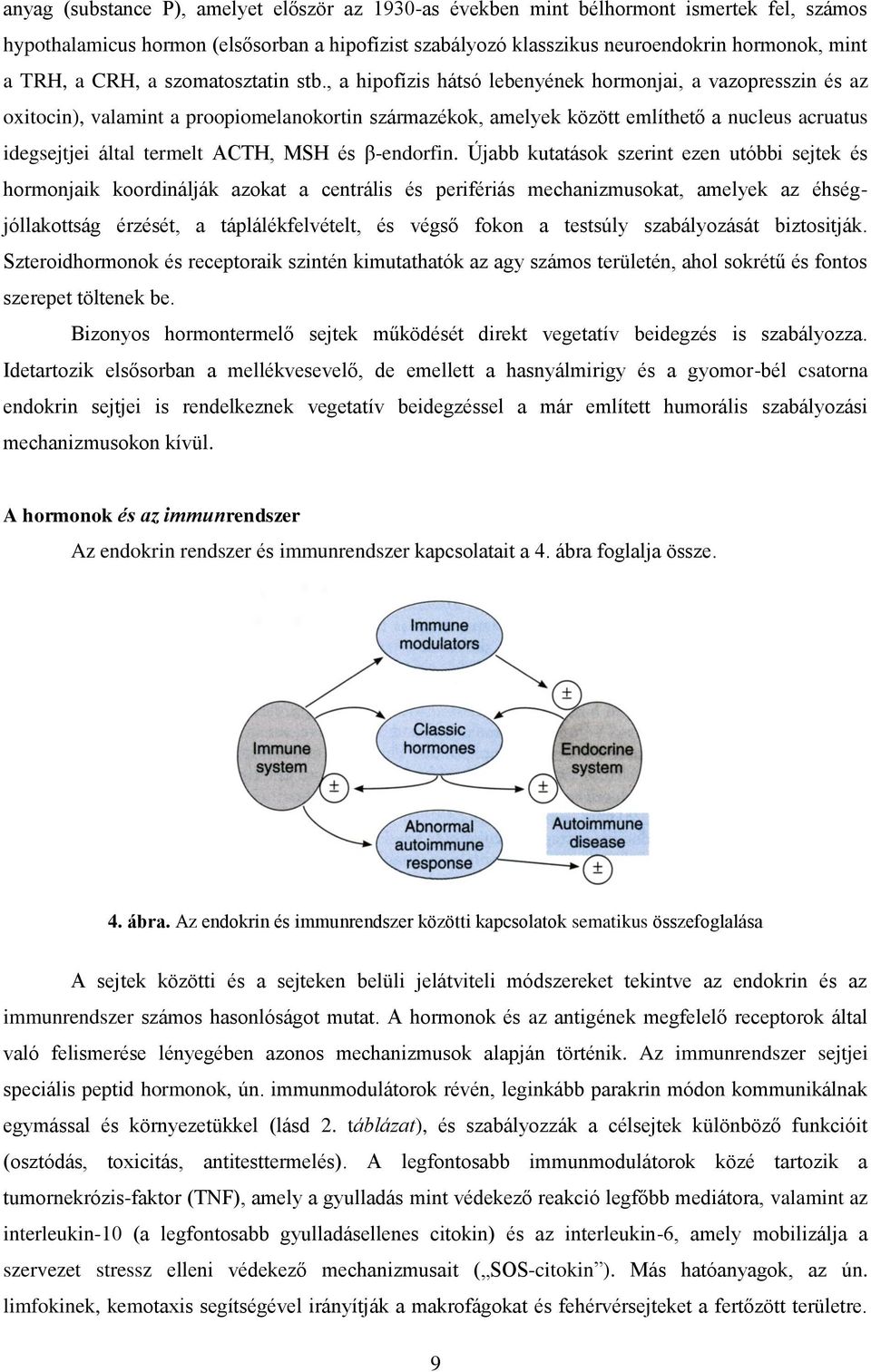 , a hipofízis hátsó lebenyének hormonjai, a vazopresszin és az oxitocin), valamint a proopiomelanokortin származékok, amelyek között említhető a nucleus acruatus idegsejtjei által termelt ACTH, MSH