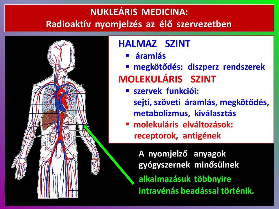 áramlás, megkötődés, metabolizmus, kiválasztás molekuláris elváltozások: receptorok,