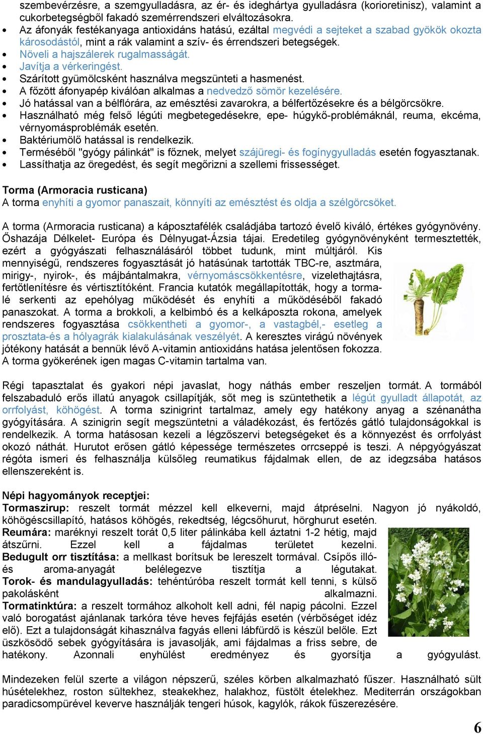 Javítja a vérkeringést. Szárított gyümölcsként használva megszünteti a hasmenést. A főzött áfonyapép kiválóan alkalmas a nedvedző sömör kezelésére.