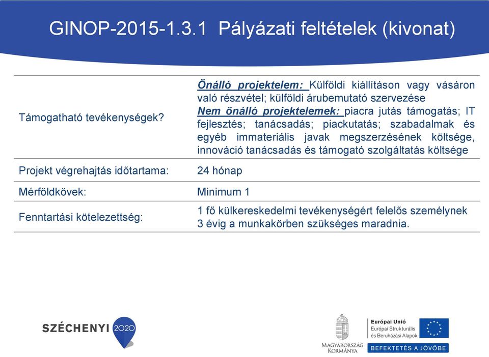 önálló projektelemek: piacra jutás támogatás; IT fejlesztés; tanácsadás; piackutatás; szabadalmak és egyéb immateriális javak megszerzésének