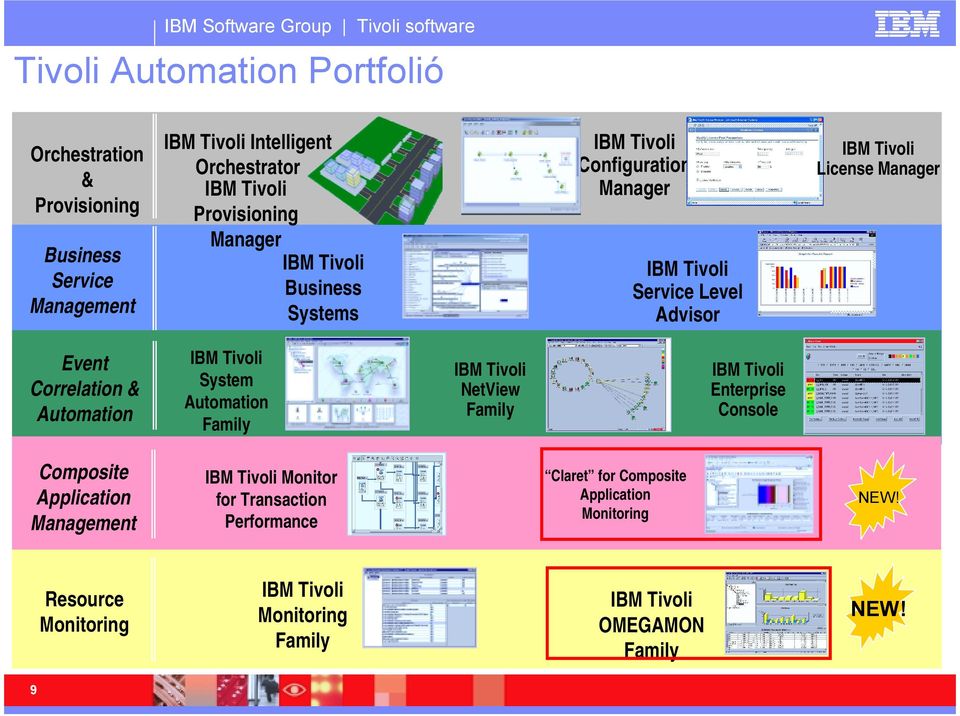 Service Level Advisor IBM Tivoli Enterprise Console IBM Tivoli License Manager Composite Application Management IBM Tivoli Monitor for Transaction Performance IBM