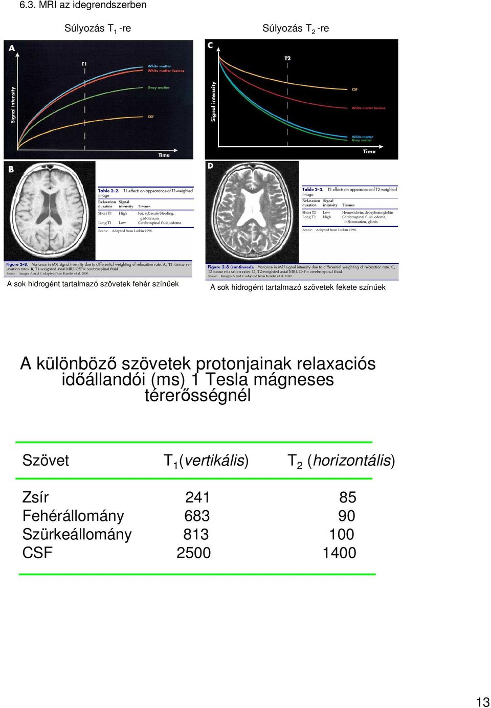 szövetek protonjainak relaxaciós időállandói (ms) 1 Tesla mágneses térerősségnél Szövet T 1