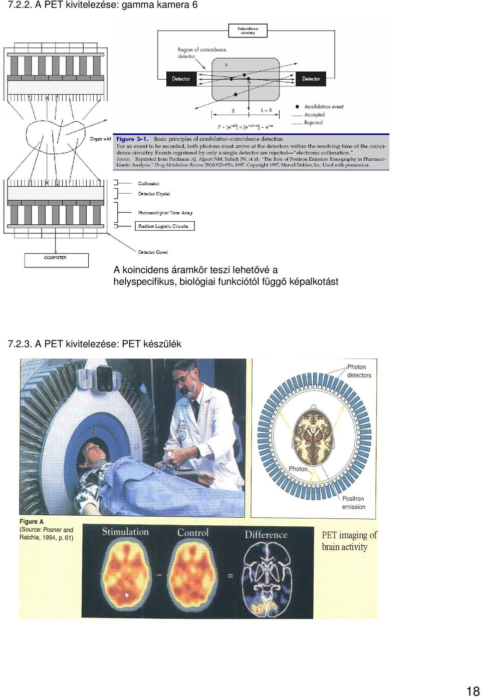 helyspecifikus, biológiai funkciótól függő