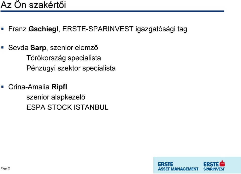 Törökország specialista Pénzügyi szektor specialista