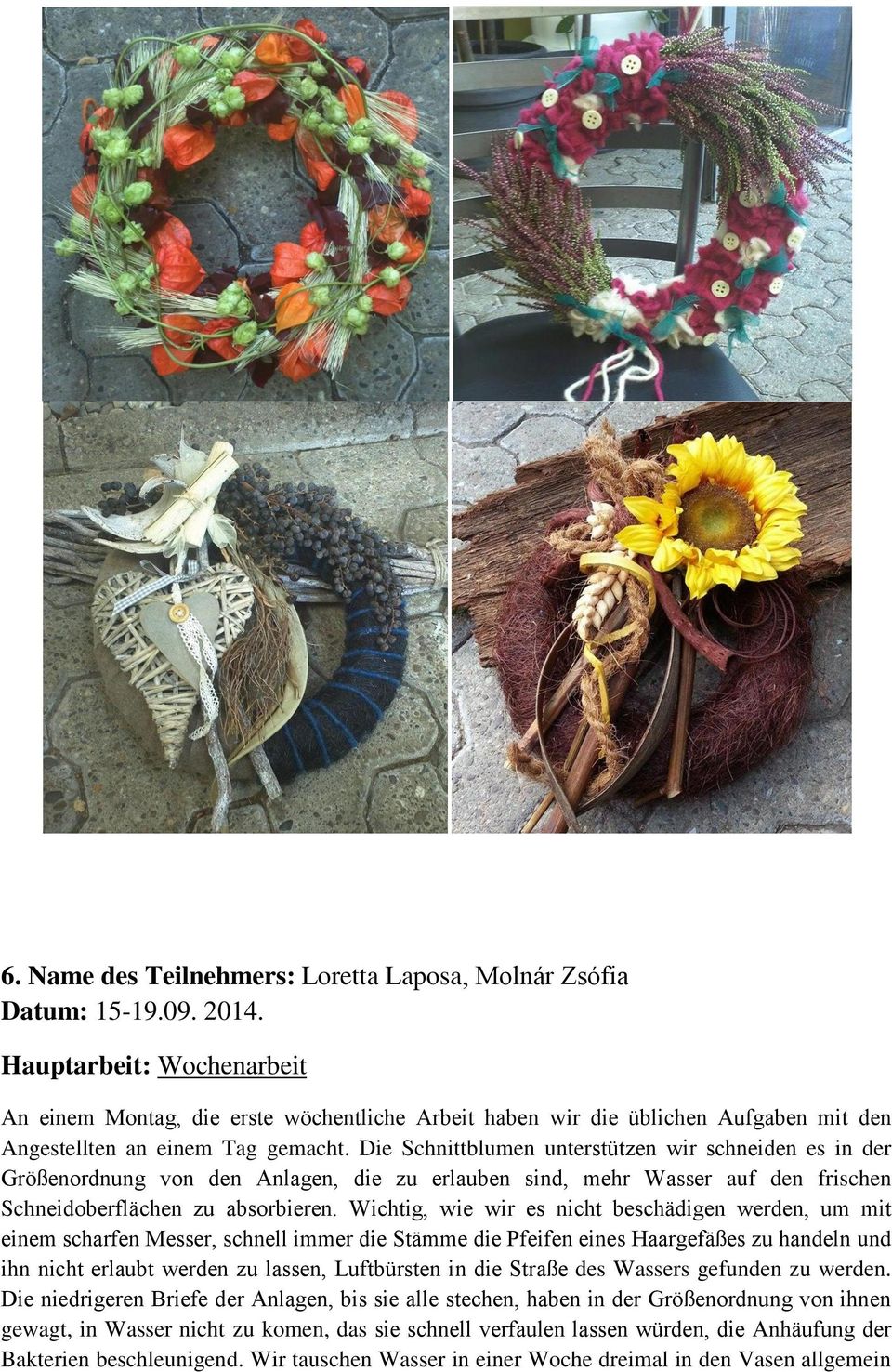 Die Schnittblumen unterstützen wir schneiden es in der Größenordnung von den Anlagen, die zu erlauben sind, mehr Wasser auf den frischen Schneidoberflächen zu absorbieren.