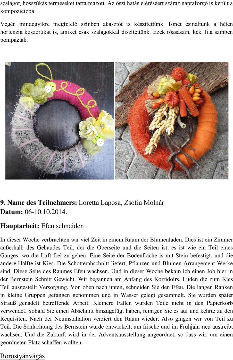 Name des Teilnehmers: Loretta Laposa, Zsófia Molnár Datum: 06-10.10.2014. Hauptarbeit: Efeu schneiden In dieser Woche verbrachten wir viel Zeit in einem Raum der Blumenladen.