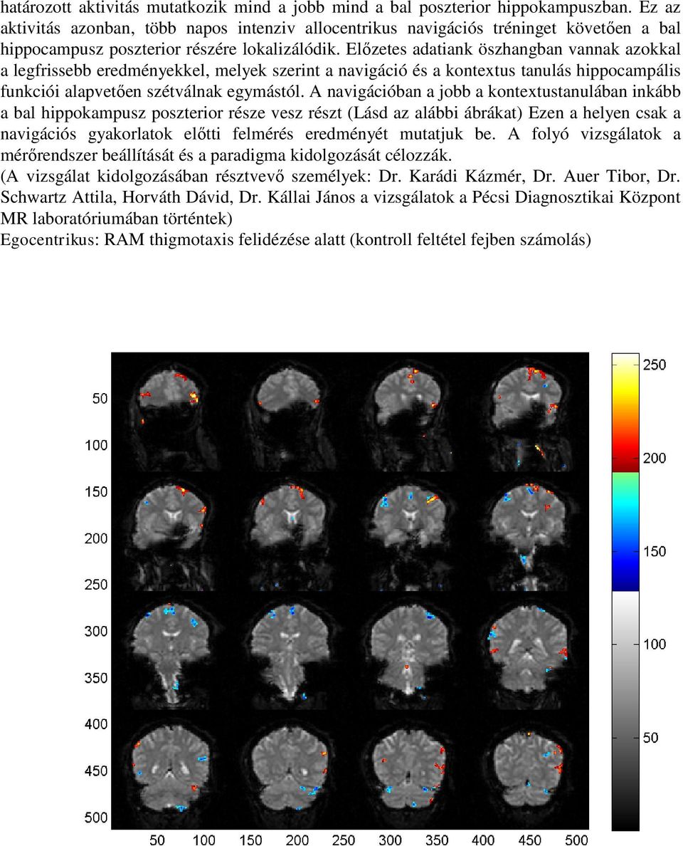 Előzetes adatiank öszhangban vannak azokkal a legfrissebb eredményekkel, melyek szerint a navigáció és a kontextus tanulás hippocampális funkciói alapvetően szétválnak egymástól.