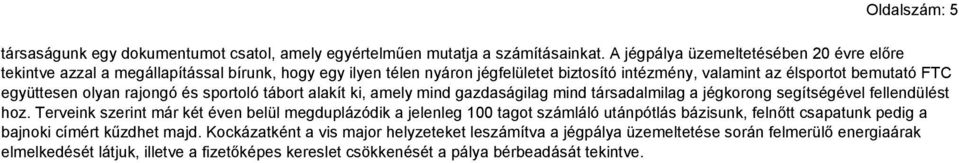 olyan rajongó és sportoló tábort alakít ki, amely mind gazdaságilag mind társadalmilag a jégkorong segítségével fellendülést hoz.