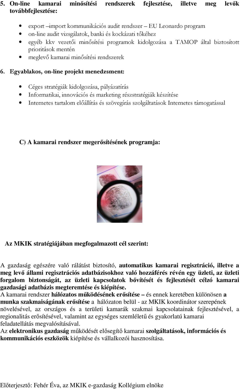 Egyablakos, on-line projekt menedzsment: Céges stratégiák kidolgozása, pályázatírás Informatikai, innovációs és marketing részstratégiák készítése Internetes tartalom előállítás és szövegírás