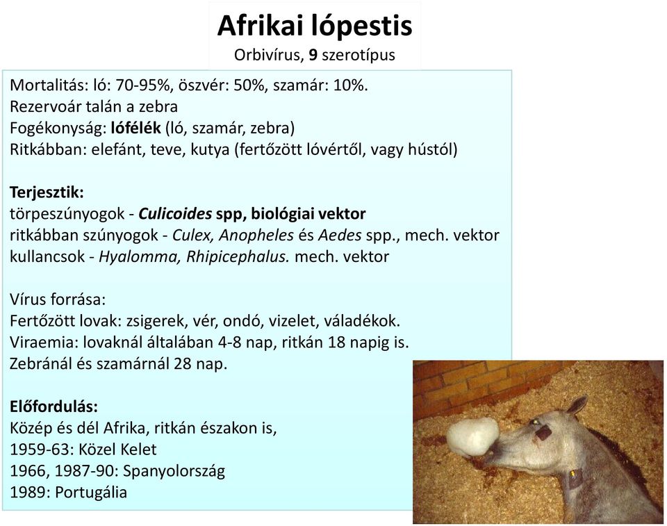 spp, biológiai vektor ritkábban szúnyogok - Culex, Anopheles és Aedes spp., mech. vektor kullancsok - Hyalomma, Rhipicephalus. mech. vektor Vírus forrása: Fertőzött lovak: zsigerek, vér, ondó, vizelet, váladékok.