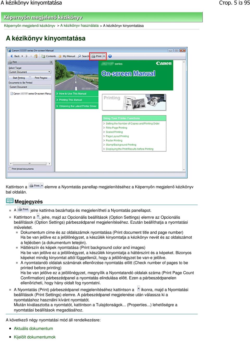 Kattintson a, jelre, majd az Opcionális beállítások (Option Settings) elemre az Opcionális beállítások (Option Settings) párbeszédpanel megjelenítéséhez. Ezután beállíthatja a nyomtatási műveletet.