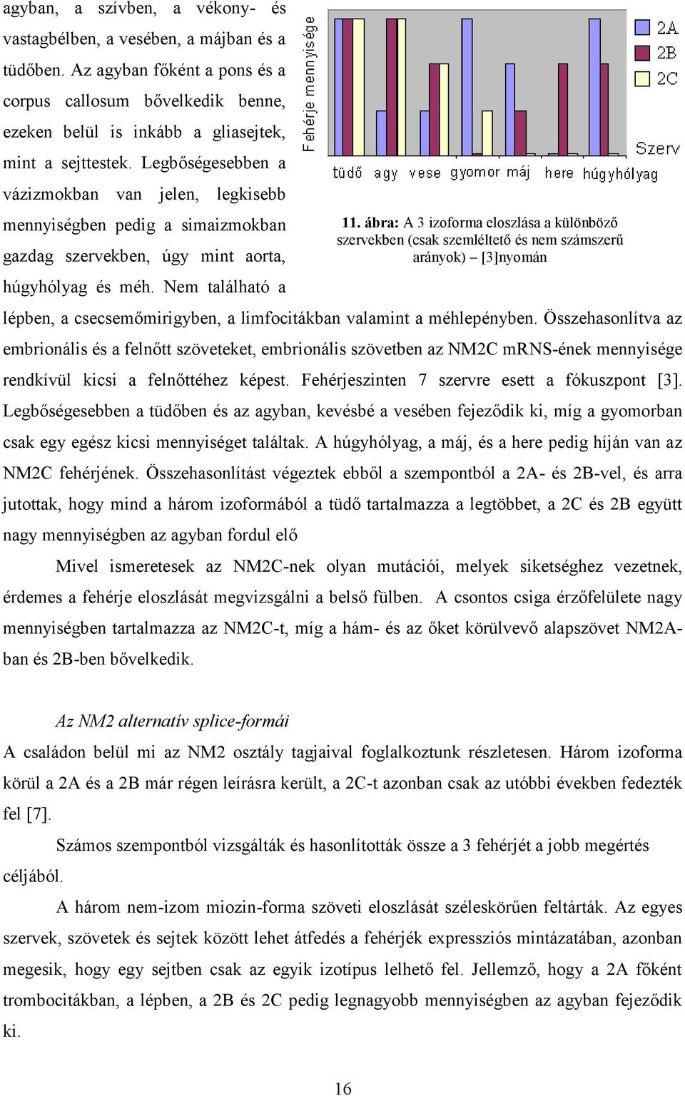 Nem található a lépben, a csecsemőmirigyben, a limfocitákban valamint a méhlepényben.