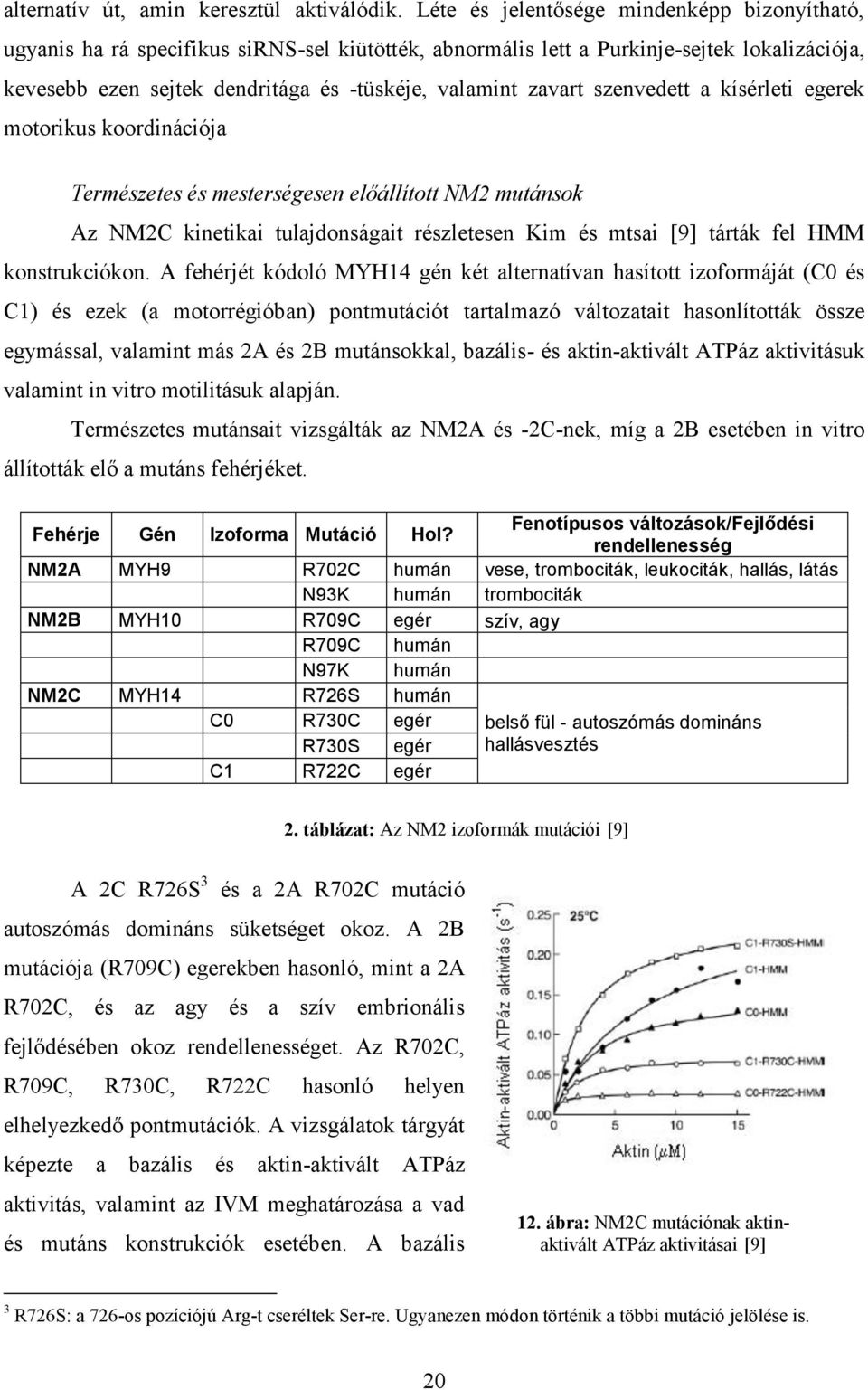 zavart szenvedett a kísérleti egerek motorikus koordinációja Természetes és mesterségesen előállított NM2 mutánsok Az NM2C kinetikai tulajdonságait részletesen Kim és mtsai [9] tárták fel HMM