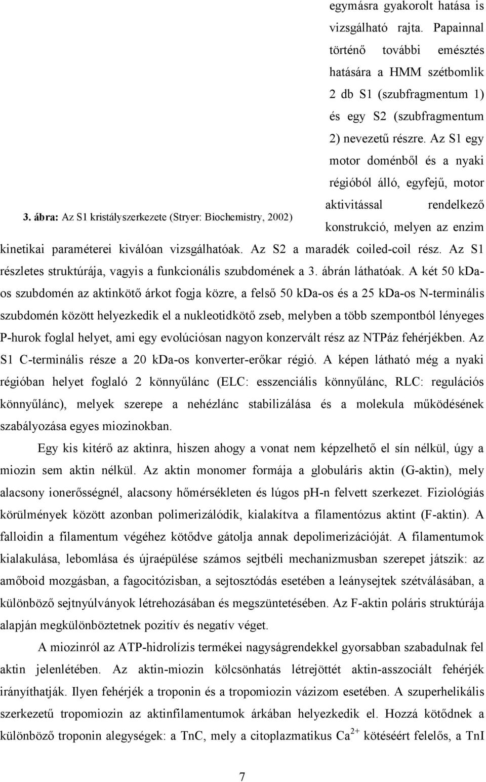 Az S1 egy motor doménből és a nyaki régióból álló, egyfejű, motor aktivitással rendelkező konstrukció, melyen az enzim kinetikai paraméterei kiválóan vizsgálhatóak. Az S2 a maradék coiled-coil rész.